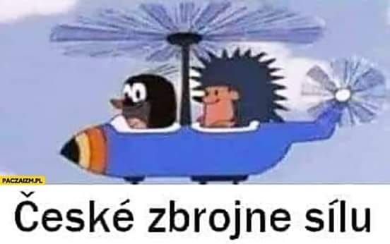 Czeskie siły zbrojne